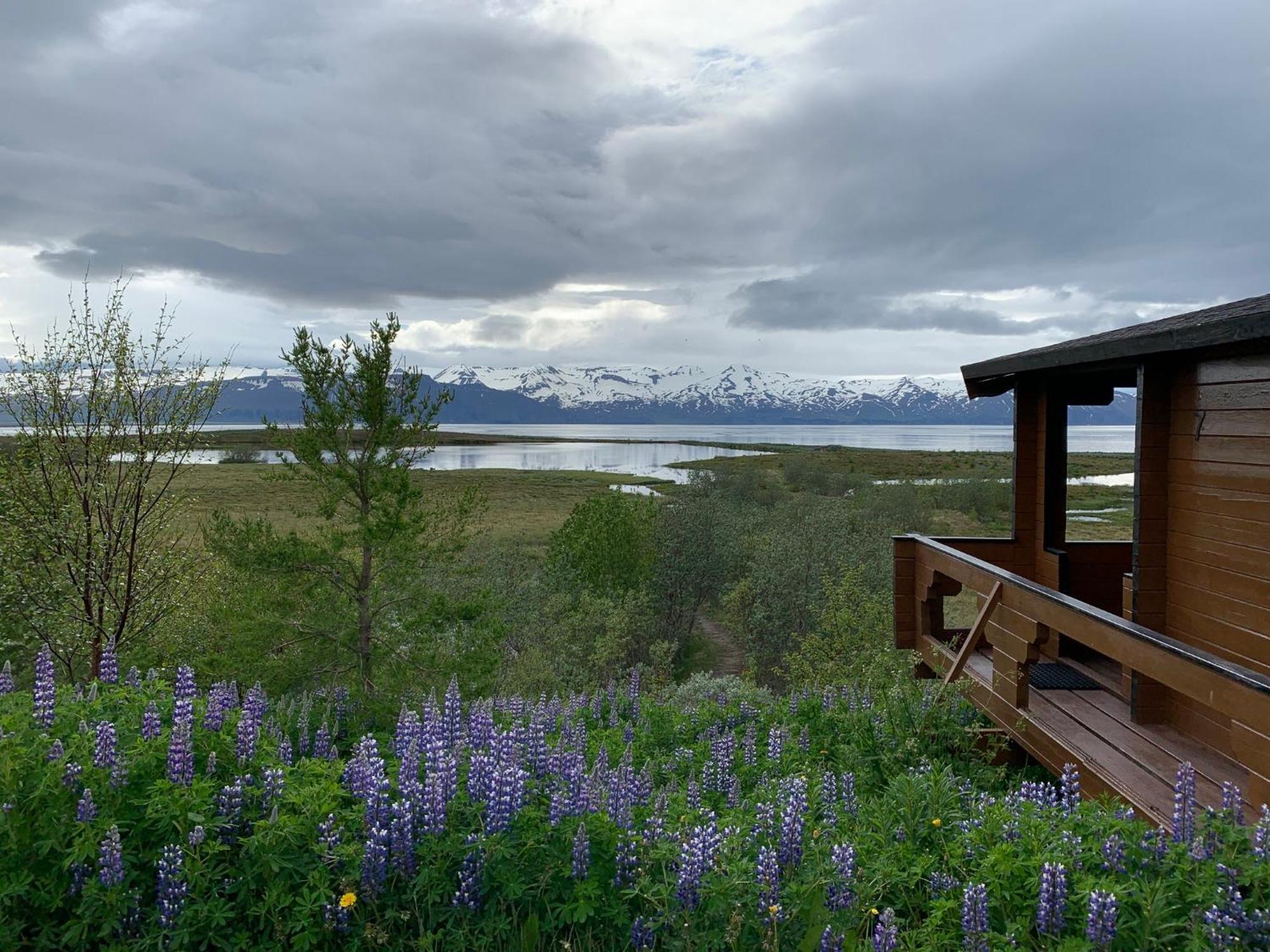 Kaldbaks-Kot Cottages Húsavík Exterior foto